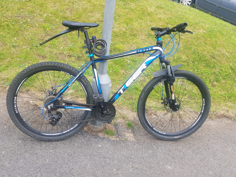 tiger ace 27.5